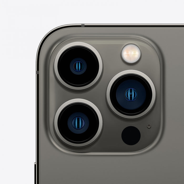 iPhone 13 Pro 256Gb (Occasion )